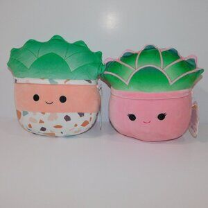 Set 2 Squishmallows 8" Plush Succulent Plants Afiyah & Abena Stuffed NEW w Tags